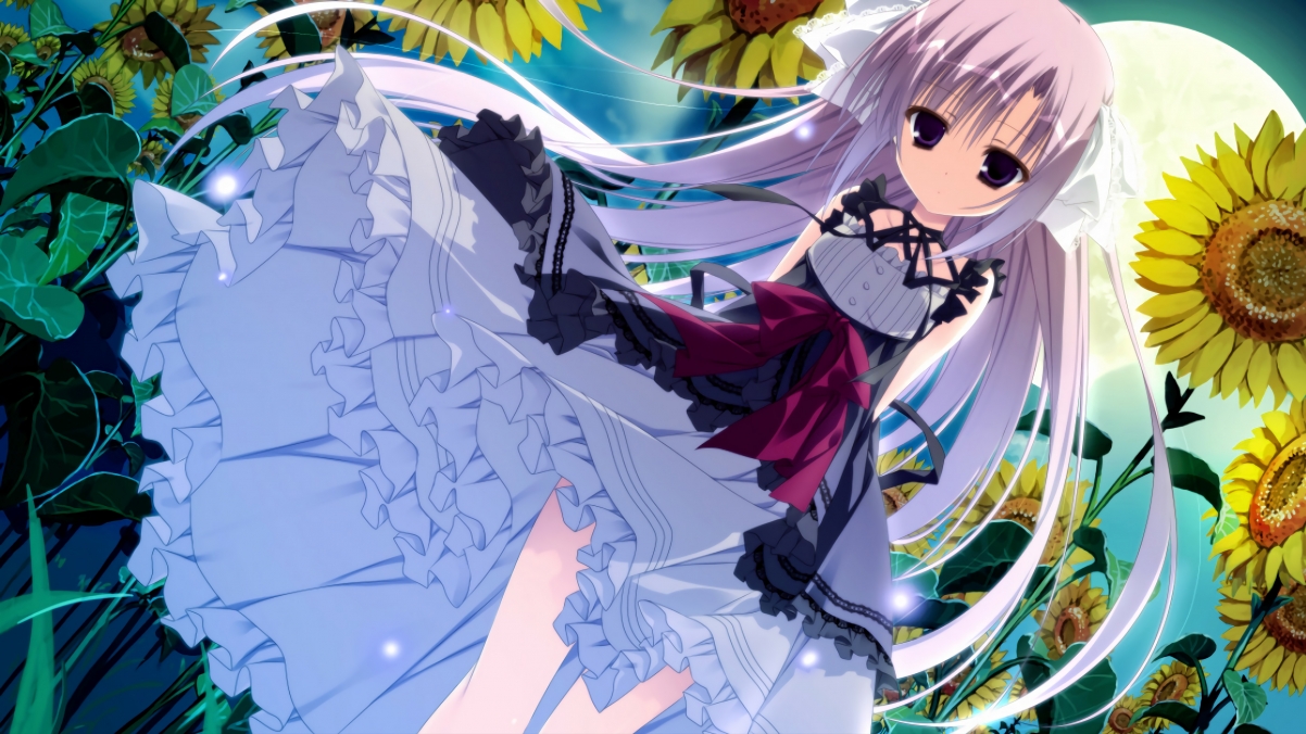 乐鱼体育app在线登录-运动员技能竞赛组织方案，运动技能比赛