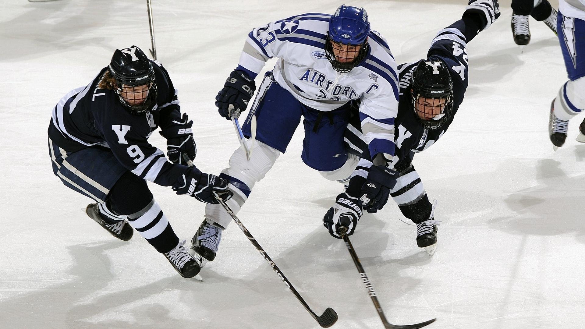 “跑出速度与激情！SHO-CHAN Run 2025吸引全球目光”