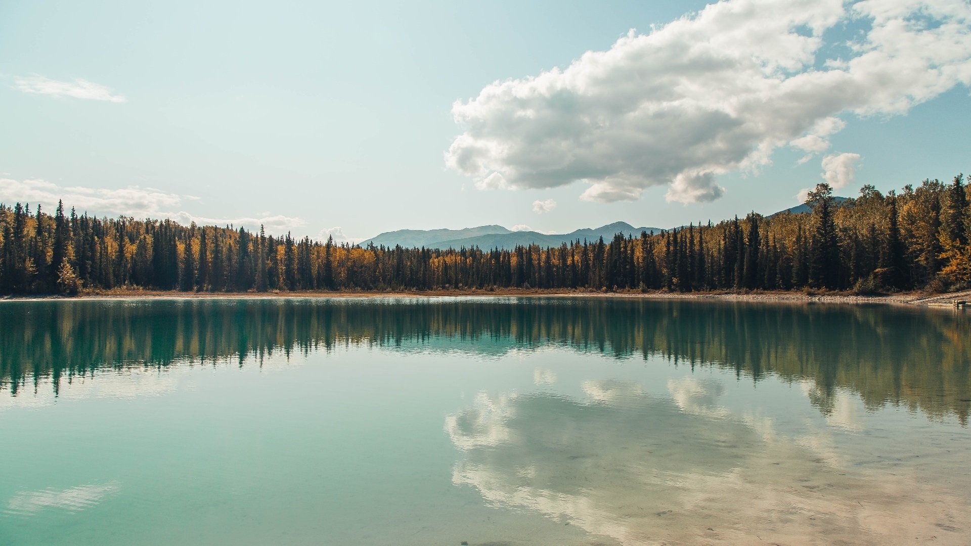 主力球员阵容稳定性是否决定赛季积分区间底色，球赛积分规则