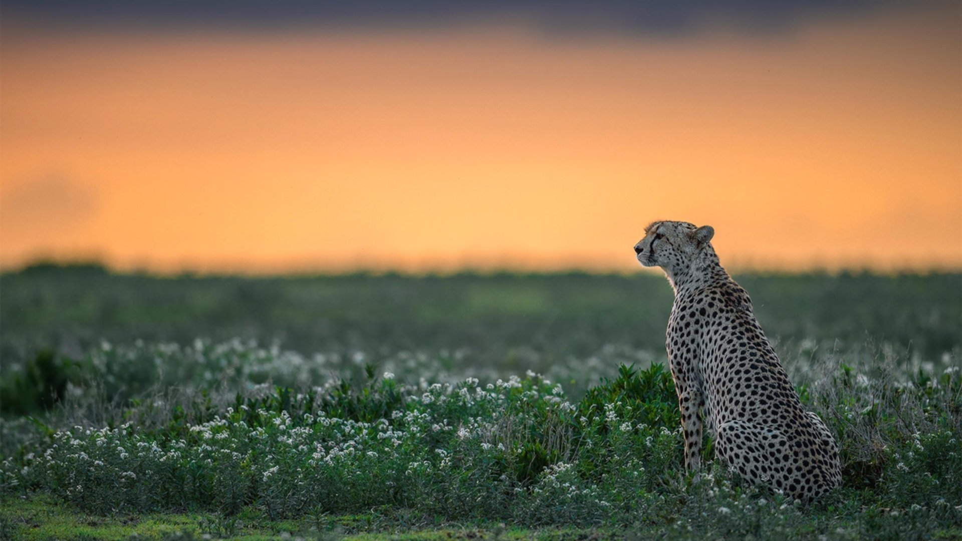 田径赛事首次尝试日落时段开赛模式，日落标准时间