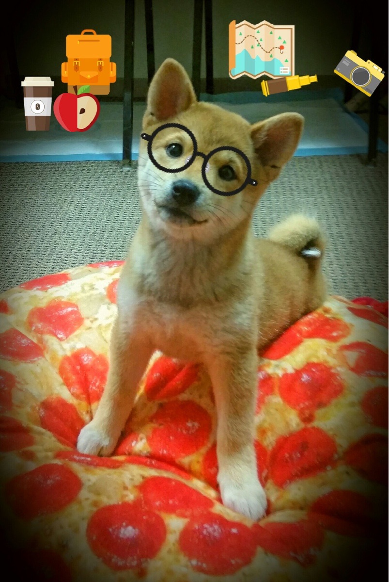 蝶泳冲刺节奏分布：中国更平稳，蝶泳节奏视频