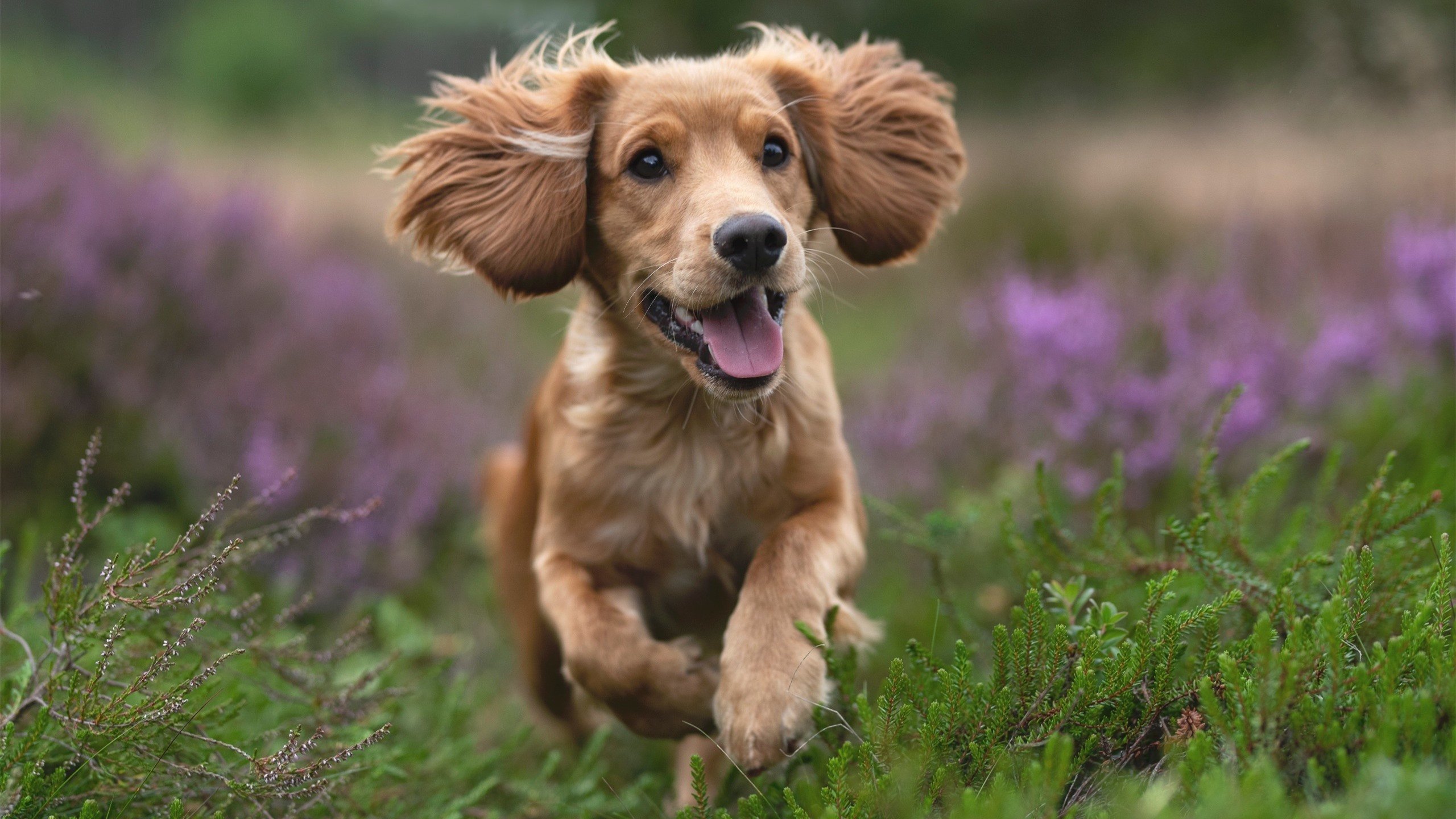 乐鱼体育-地方篮球训练机构进入规范化评估流程确保教学效果优质，篮球培训机构规章制度