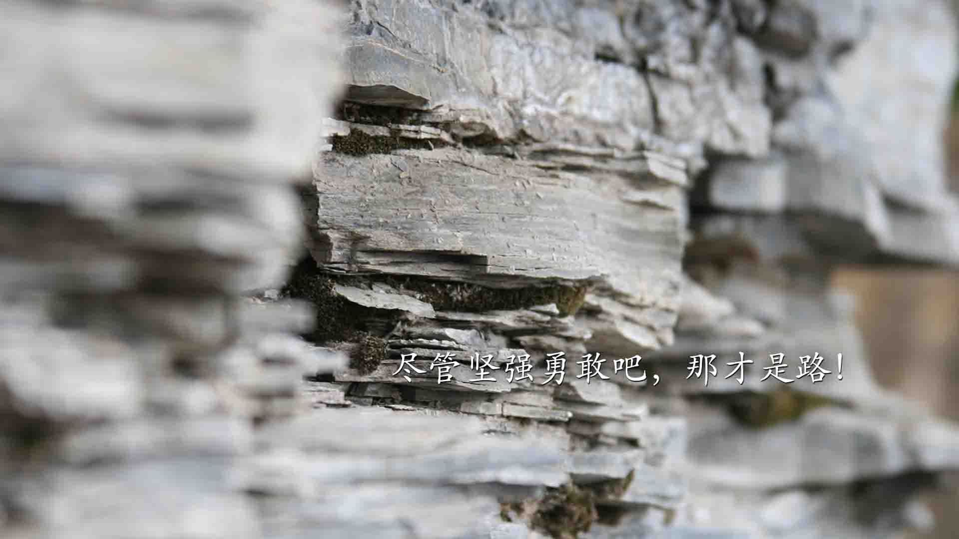 女子国家队逐步优化年龄结构增强阵容均衡性，女子国家队名单