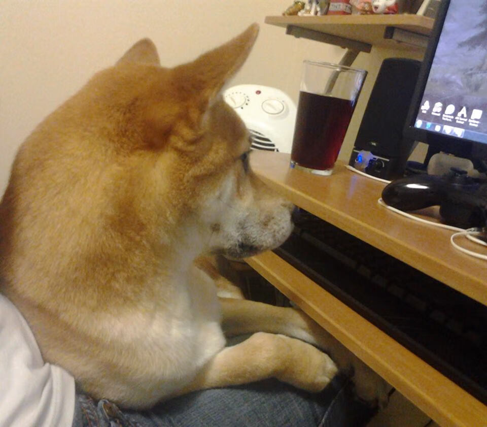 法甲冠军悬念：新星崛起，未来可期！，法甲新赛季宣传片